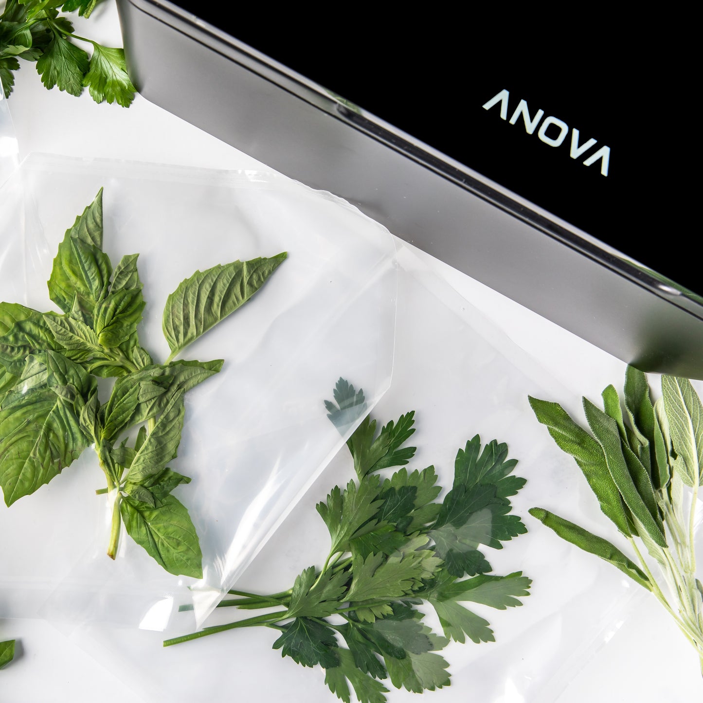 Anova Precision Chamber Vacuum Sealer
