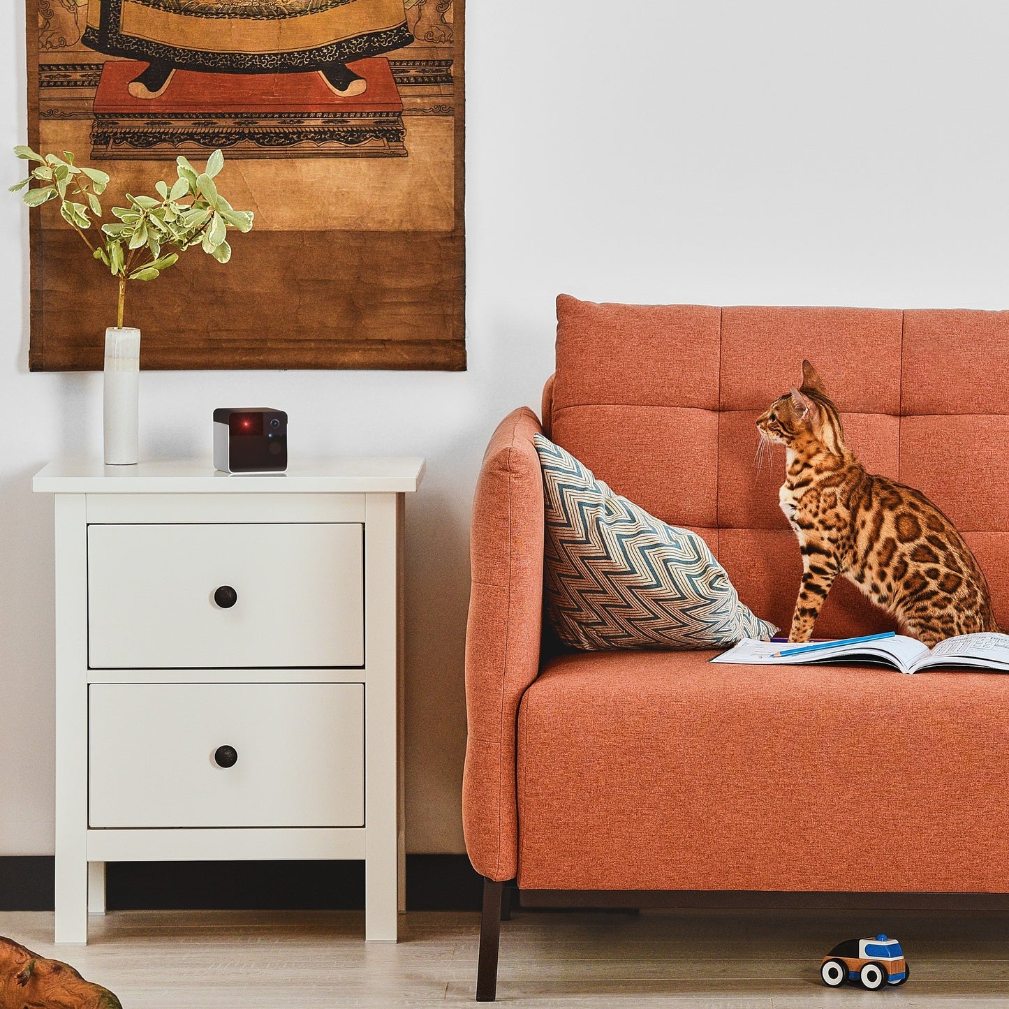 Petcube Play 2 Wi-Fi Pet Camera with Laser Toy for Cats & Dogs