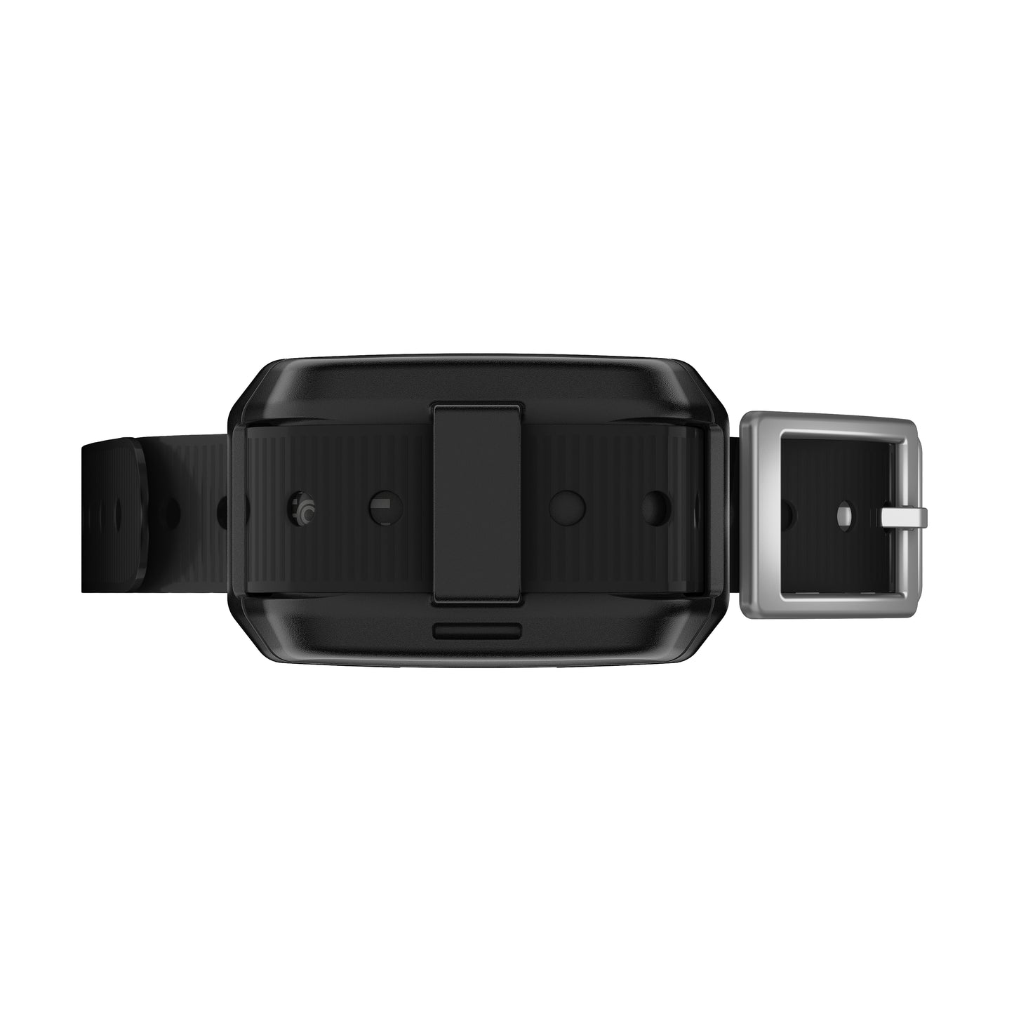 Garmin Delta SE Handheld Dog Trainer Bundle