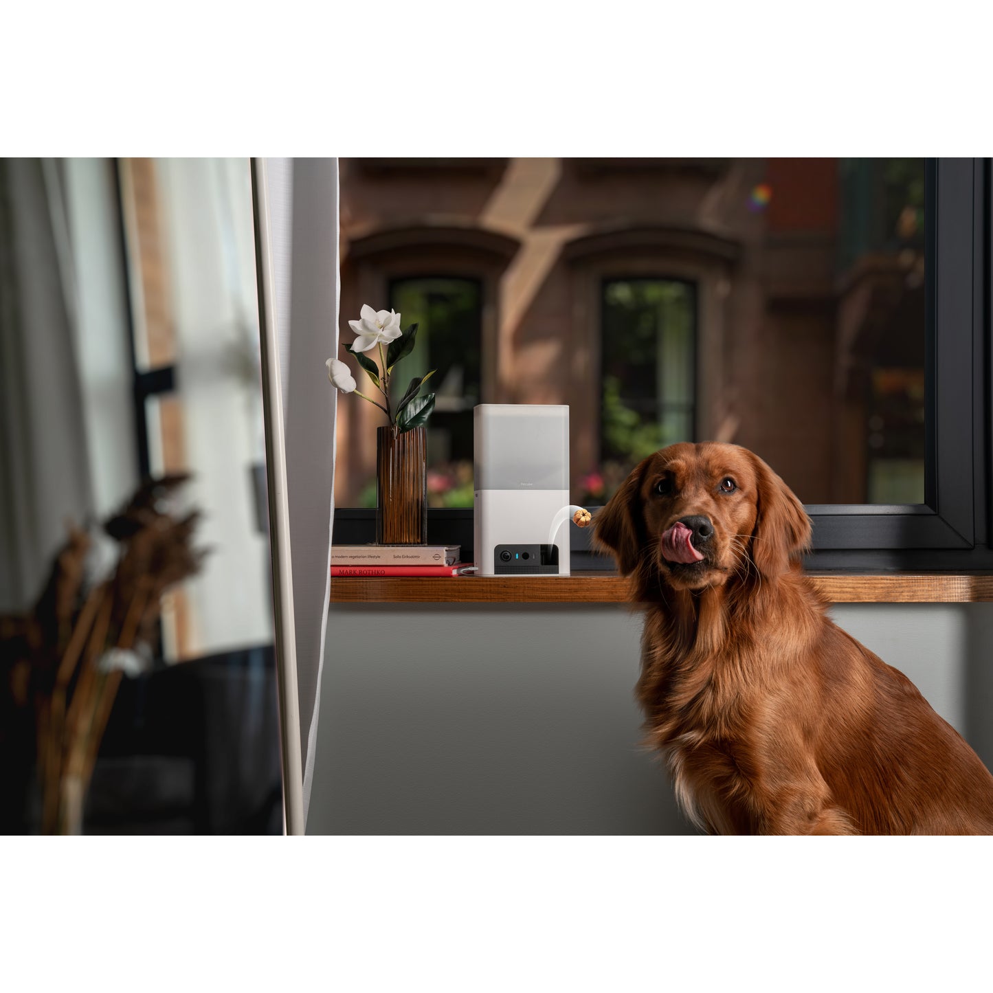 Petcube Bites 2 Lite Interactive Wi-Fi Pet Monitoring Camera with Phone App and Treat Dispenser