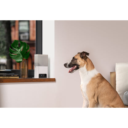 Petcube Bites 2 Lite Interactive Wi-Fi Pet Monitoring Camera with Phone App and Treat Dispenser