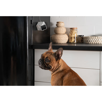 Petcube Cam Indoor Wi-Fi Pet and Security Camera with Phone App
