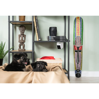 Petcube Cam Indoor Wi-Fi Pet and Security Camera with Phone App