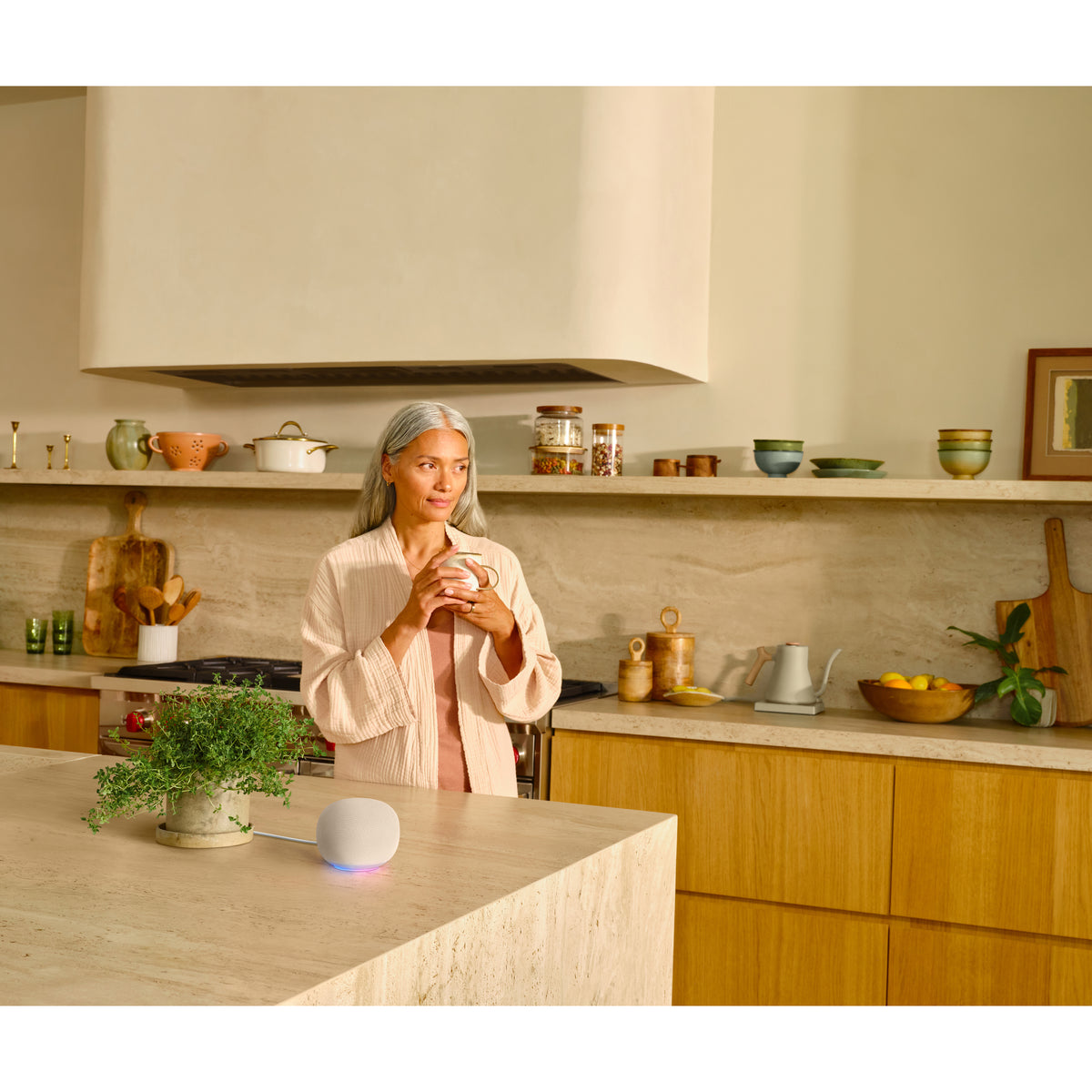 Google Home Speaker – Porcelain