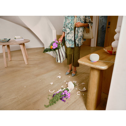 Google Home Speaker – Porcelain