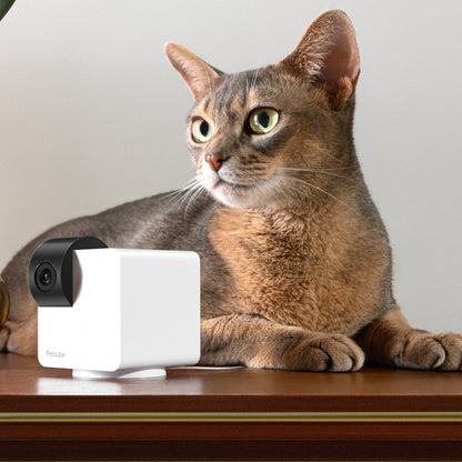 Petcube Cam 360 Camera Ultimate Interactive Wi-Fi Pet and Home Security Pan-Tilt Camera with Phone App