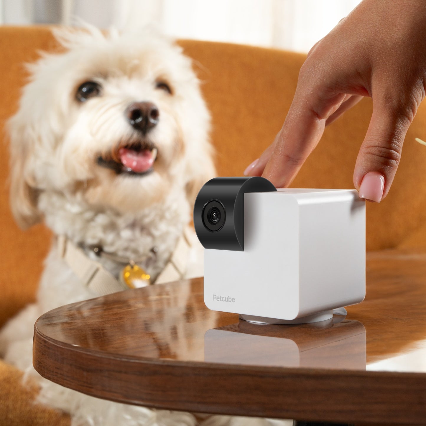 Petcube Cam 360 Camera Ultimate Interactive Wi-Fi Pet and Home Security Pan-Tilt Camera with Phone App