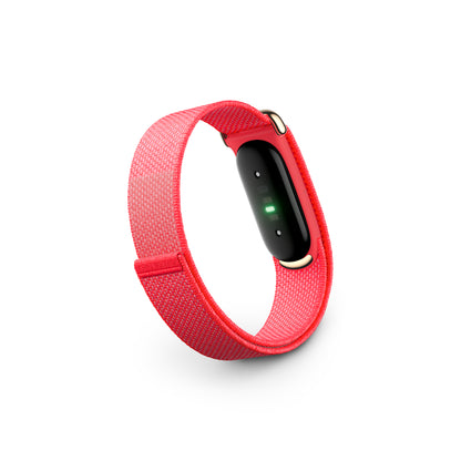 Google Fitbit Air - Berry