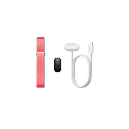 Google Fitbit Air - Berry