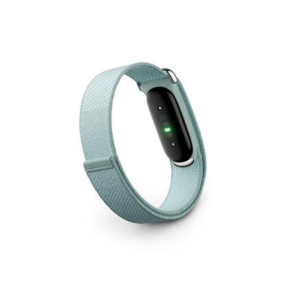 Google Fitbit Air - Fog