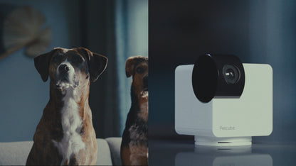 Petcube Cam 360 Camera Ultimate Interactive Wi-Fi Pet and Home Security Pan-Tilt Camera with Phone App